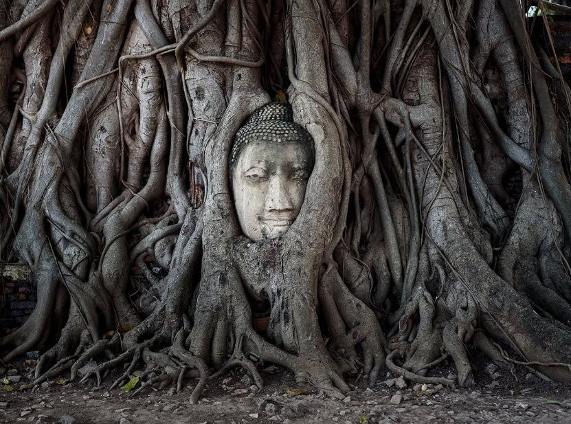 Wat Mahathat, Ayutthaya, Thailand